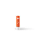 Protective lipstick  <br> <span>Moisture and Protection for Your Lips</span>